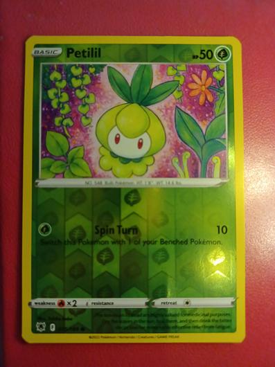 Petilil [Reverse Holo] #15 photo