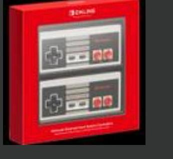 Nintendo Switch NES Controllers photo