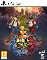 Double Dragon Gaiden: Rise of the Dragons PAL Playstation 5 Prices