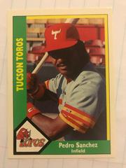 Pedro Sanchez Baseball Cards 1990 CMC Tucson Toros Prices