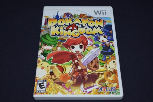 Dokapon Kingdom photo