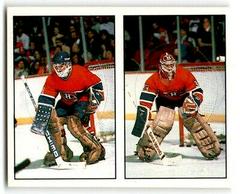 Brian Hayward, Patrick Roy Hockey Cards 1987 Panini Stickers Prices