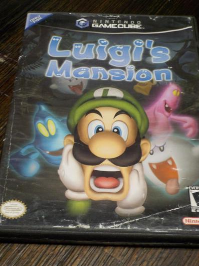 Luigi's Mansion photo