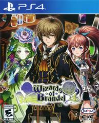 Wizards of Brandel Playstation 4 Prices