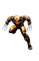 Wolverine [2nd Print Bazaldua Virgin] #43 (2024) Comic Books Wolverine Prices