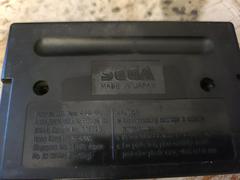 Cartridge (Reverse) | Wayne's World Sega Genesis