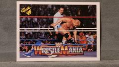 Hacksaw' Jim Duggan, Dino Bravo Wrestling Cards 1990 Classic WWF The History of Wrestlemania Prices