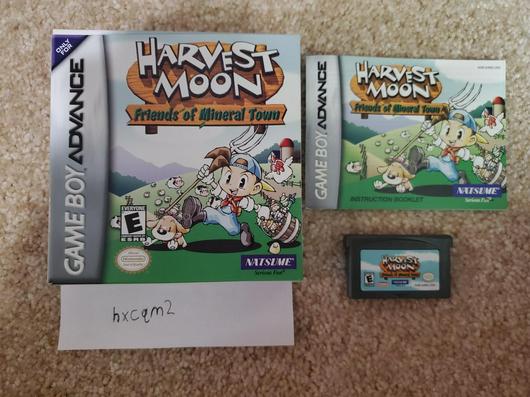 Harvest Moon Friends Mineral Town photo