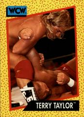 Terry Taylor Wrestling Cards 1991 Impel WCW Prices