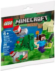 Steve and Creeper Set #30393 LEGO Minecraft Prices