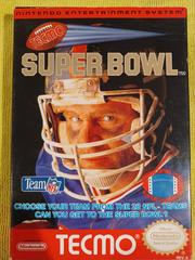 Box | Tecmo Super Bowl NES