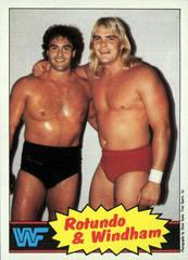Mike Rotundo, Barry Windham #18 Wrestling Cards 1985 Topps WWF Prices