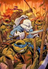 Teenage Mutant Ninja Turtles / Usagi Yojimbo: WhereWhen [Browne Virgin] #1 (2023) Comic Books Teenage Mutant Ninja Turtles / Usagi Yojimbo: WhereWhen Prices
