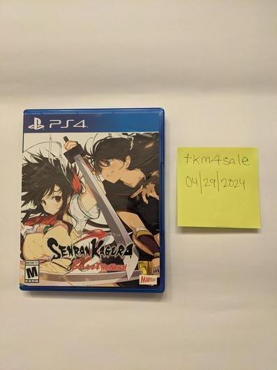 Senran Kagura Burst Re:Newal photo