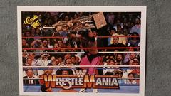 Bret 'Hitman' Hart Wrestling Cards 1990 Classic WWF The History of Wrestlemania Prices