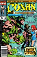 Conan the Barbarian [Newsstand] #243 (1991) Comic Books Conan the Barbarian Prices