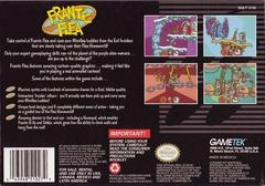 Frantic Flea - Back | Frantic Flea Super Nintendo