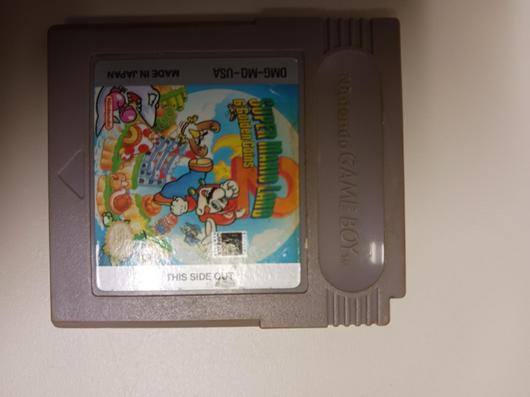 Super Mario Land 2 photo