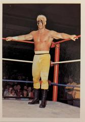 Sting #194 Wrestling Cards 1988 Wonderama NWA Prices