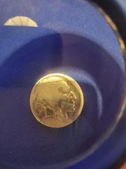 1913 S [TYPE 1 NO F] Coins Buffalo Nickel Prices