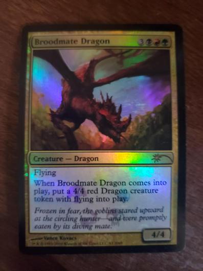 Broodmate Dragon photo