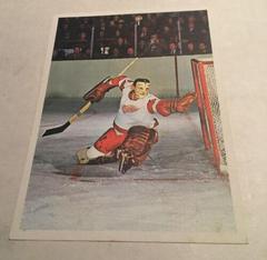 Terry Sawchuk Hockey Cards 1963 Toronto Star Prices