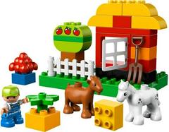 LEGO Set | My First Garden LEGO DUPLO