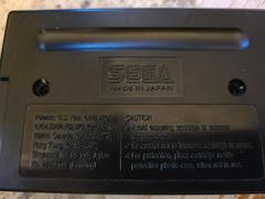Cartridge (Reverse) | Wiz 'n' Liz Sega Genesis