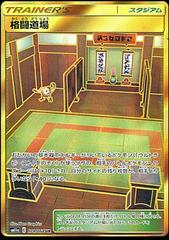 Martial Arts Dojo #79 Pokemon Japanese Remix Bout Prices