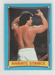 Karate Stance Wrestling Cards 1987 O Pee Chee WWF Prices