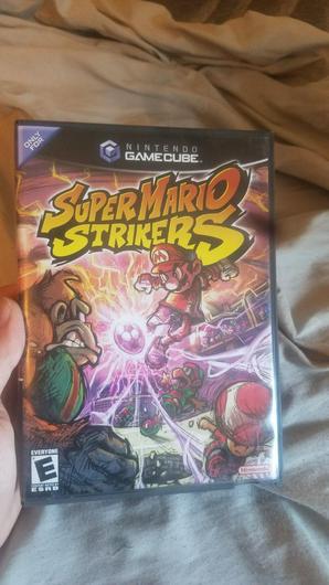 Super Mario Strikers photo