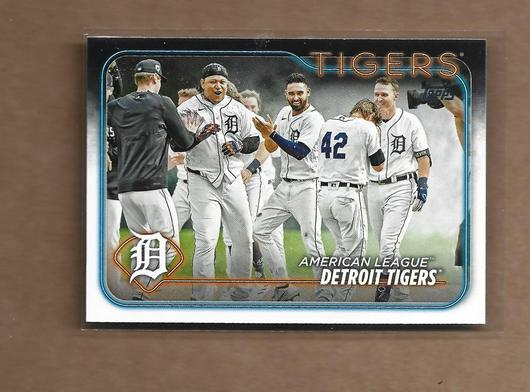 Detroit Tigers #6 photo