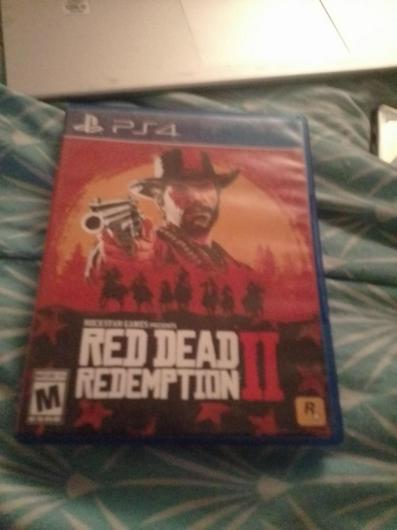Red Dead Redemption 2 photo