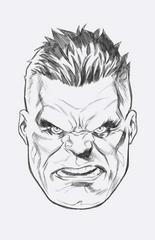 The Incredible Hulk [Brooks Sketch Virgin] Comic Books Incredible Hulk Prices
