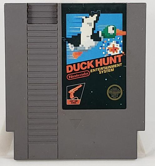 Duck Hunt photo