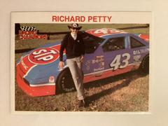 Richard Petty #1125 Racing Cards 1991 Champions Prices