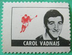 Carol Vadnais Hockey Cards 1969 O-Pee-Chee Stamps Prices