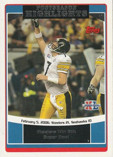 Pittsburgh Steelers #310 photo