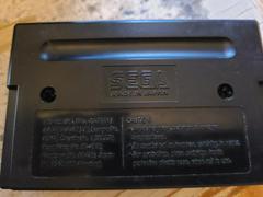 Cartridge (Reverse) | Race Drivin Sega Genesis