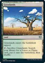 Grasslands #1002 Magic Commander Masters Prices