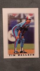 Tim Wallach #58 Baseball Cards 1988 Topps Mini League Leaders Prices