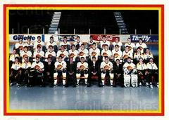 Vancouver Canucks Hockey Cards 1990 Kraft Prices