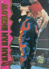Bam Bam Bigelow #10 Wrestling Cards 1995 Action Packed WWF Prices