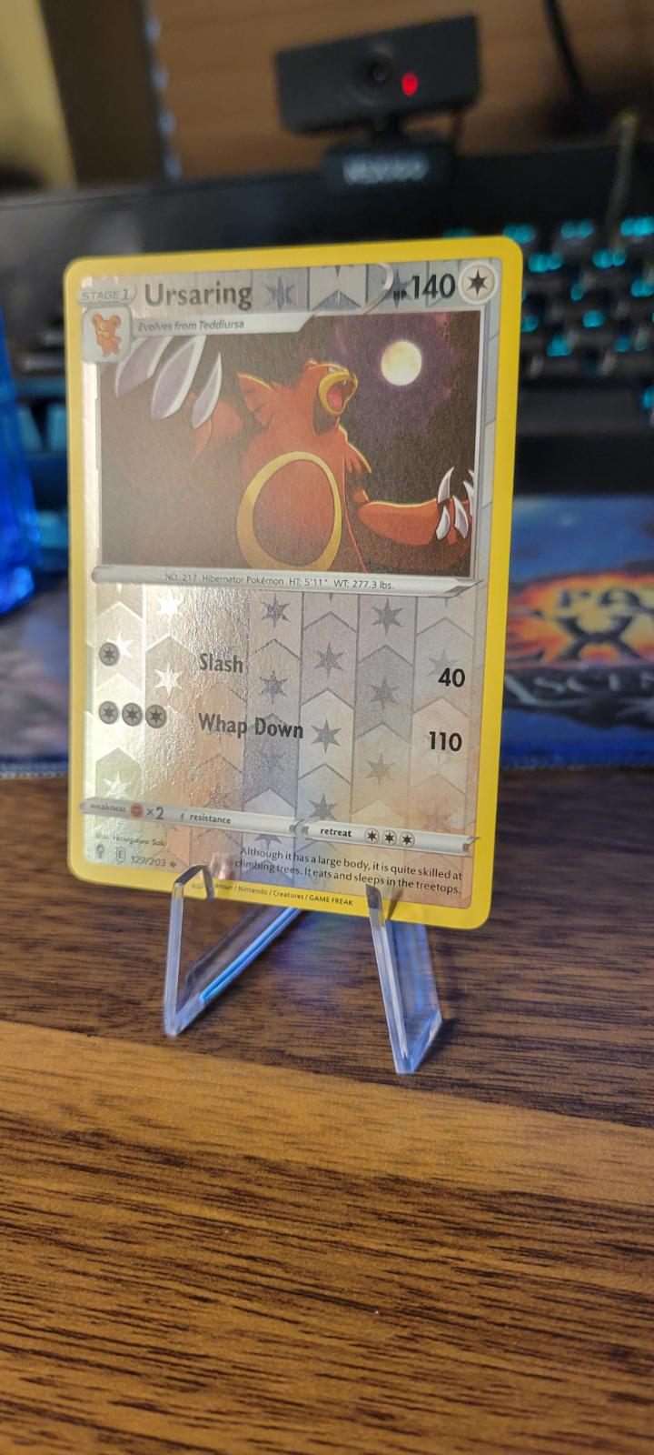 Ursaring [Reverse Holo] Ungraded Pokemon Evolving Skies
