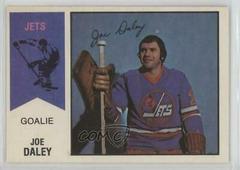 Joe Daley #38 Hockey Cards 1974 O-Pee-Chee WHA Prices