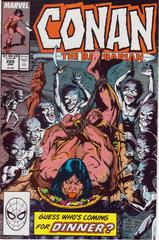 Conan the Barbarian #228 (1990) Comic Books Conan the Barbarian Prices