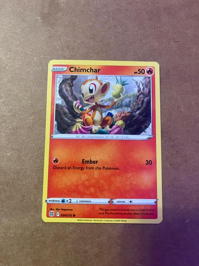 Chimchar #24 photo