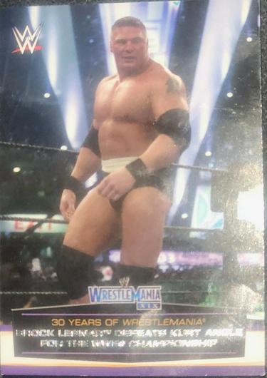 Brock Lesnar Defeats Kurt Angle for the WWE Championship #38 photo