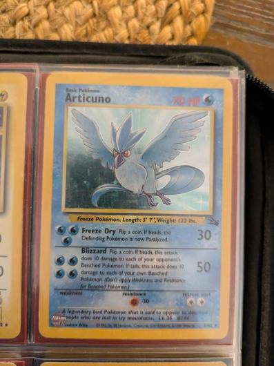 Articuno #2 photo