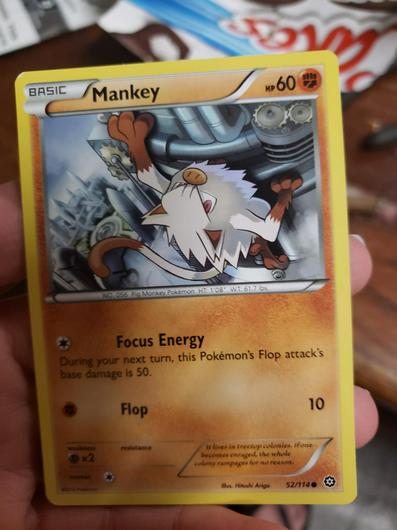 Mankey #52 photo